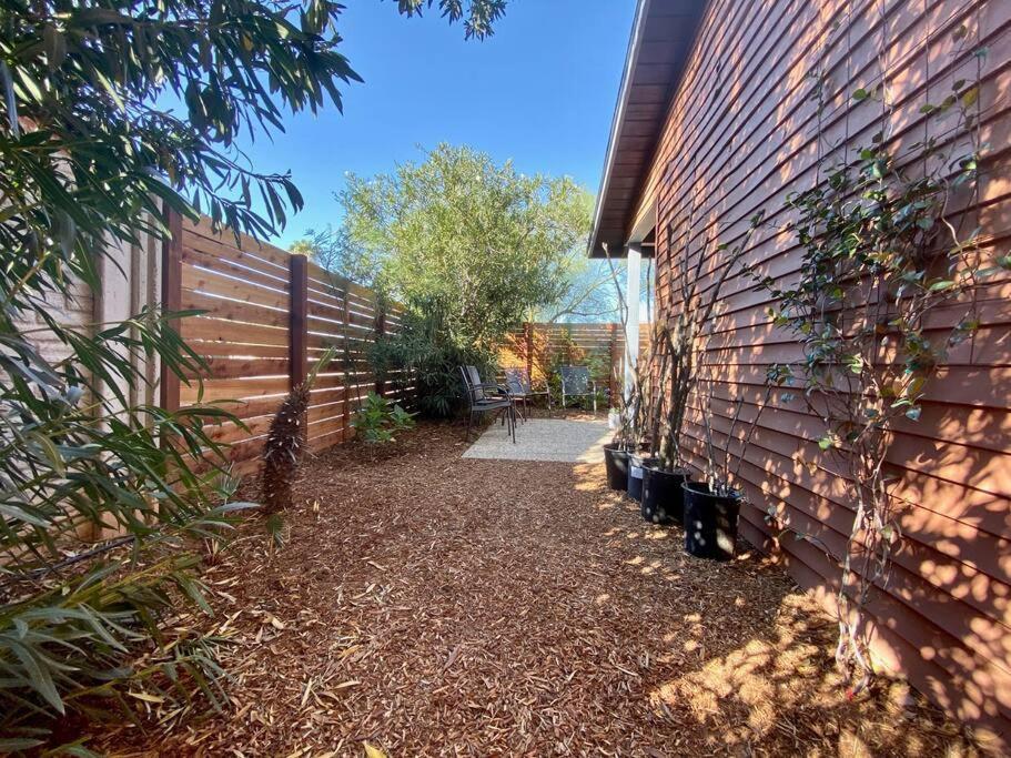 Garden House - Lovingly Restored 1950S Home Tucson Exterior photo