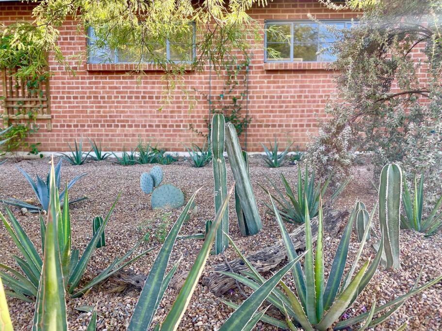 Garden House - Lovingly Restored 1950S Home Tucson Exterior photo