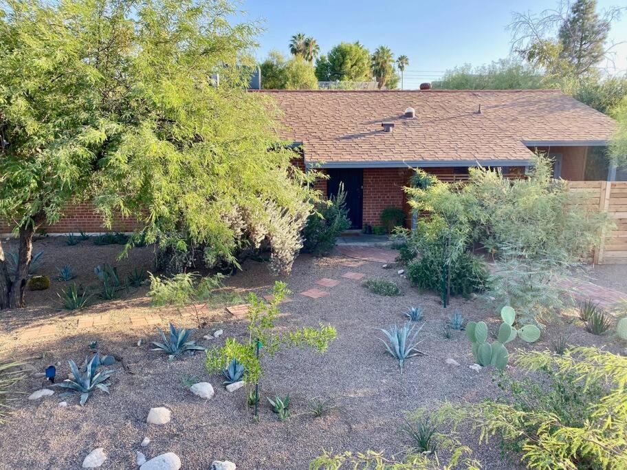 Garden House - Lovingly Restored 1950S Home Tucson Exterior photo