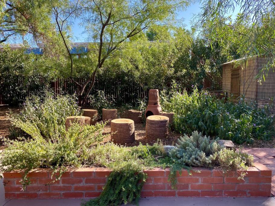 Garden House - Lovingly Restored 1950S Home Tucson Exterior photo